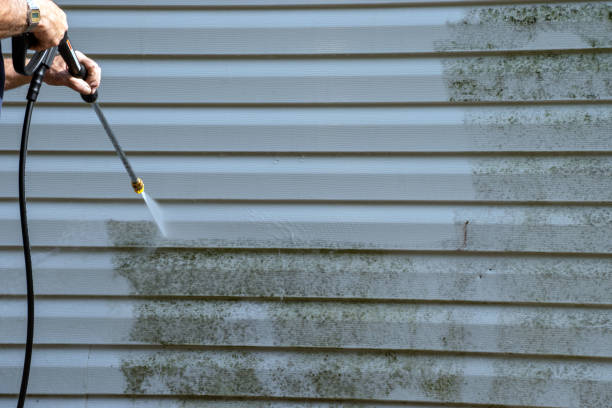 Trusted Lewiston, CA Siding Installation & Repair Experts